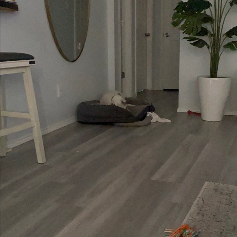 Meet your Posher, Willie